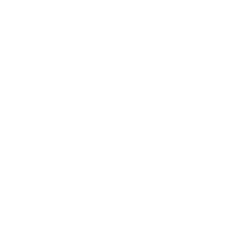 boofai Logo